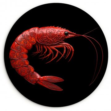 Cuadro redondo - Camarón - Rojo - Animales