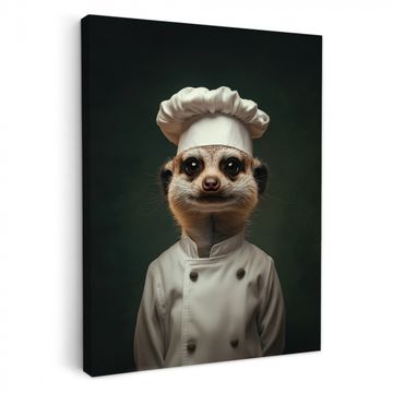Animal - Cocinero - Suricata