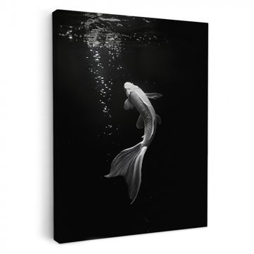 Lienzos decorativos - Koi - Pez - Blanco - Negro