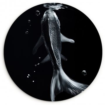 Cuadro redondo - Koi - Pez - Agua - Negro