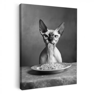 Lienzos decorativos - Sphynx - Gato - Animales - Humor - Espagueti - Blanco y Negro