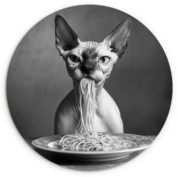 Cuadro redondo - Sphynx - Gato - Animales - Humor - Espagueti - Blanco y Negro