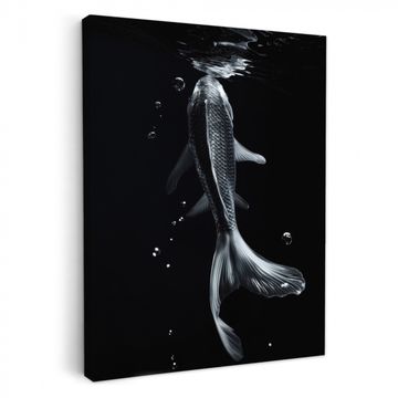 Lienzos decorativos - Koi - Pez - Agua - Negro