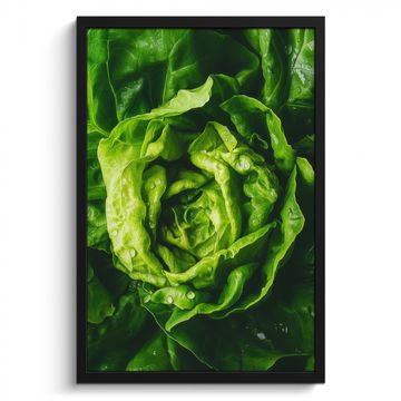 Cuadros enmarcados - Verduras - Lechuga - Verde