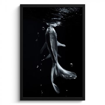 Cuadros enmarcados - Koi - Pez - Agua - Negro