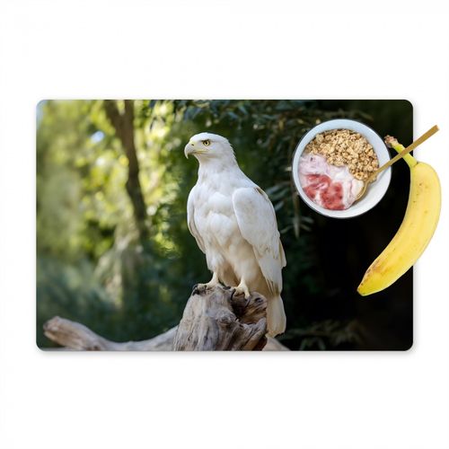 Águila - Madera - Blanco - Plantas