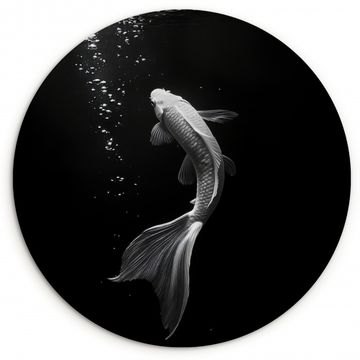 Cuadro redondo - Koi - Pez - Blanco - Negro