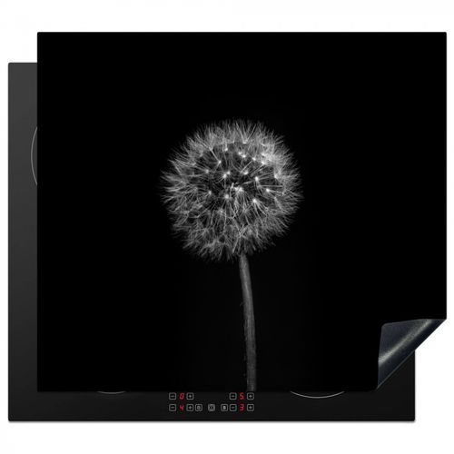 Noche estrellada de Dandelion