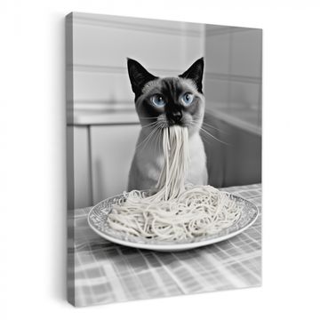 Lienzos decorativos - Gato - Siamés - Blanco y negro - Lindo - Animales