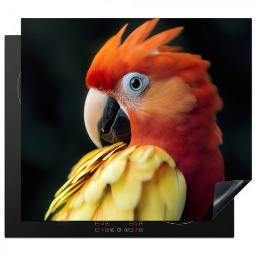 Primer plano - Loro - Plumas - Naranja
