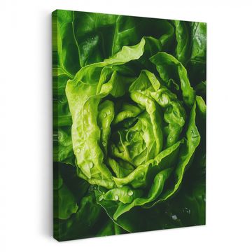 Lienzos decorativos - Verduras - Lechuga - Verde