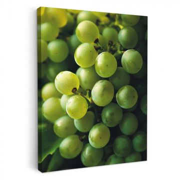 Lienzos decorativos - Uvas - Racimo - Verde
