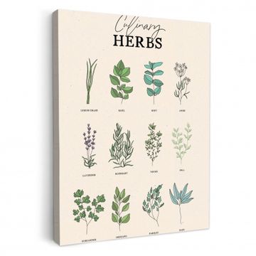 Lienzos decorativos - Plantas - Cocina - Hierbas