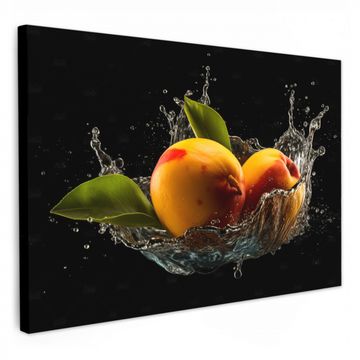 Lienzos decorativos - Mango - Fruta - Agua - Negro - Hoja