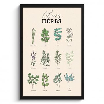 Cuadros enmarcados - Plantas - Cocina - Hierbas