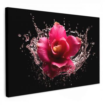 Lienzos decorativos - Flores - Rosa - Agua - Negro - Botánico - Naturaleza