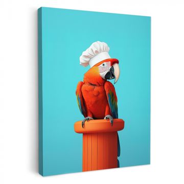 Lienzos decorativos - Guacamayo - Gorro de cocinero - Pedestal - Divertido