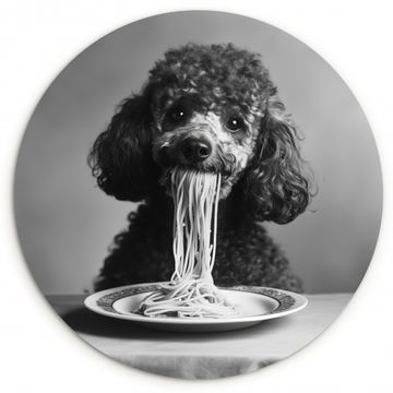 Cuadro redondo - Caniche - Perro - Negro - Blanco - Lindo - Pasta