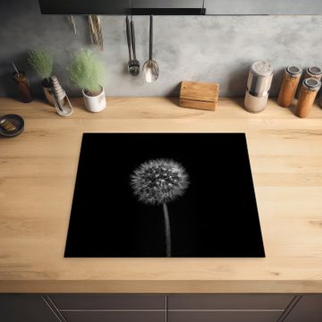 Noche estrellada de Dandelion