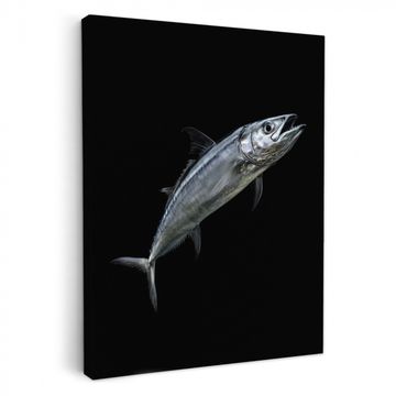Lienzos decorativos - Caballa - Pescado - Negro