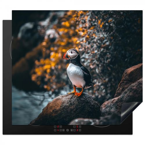 Loro - Pájaro - Roca - Blanco