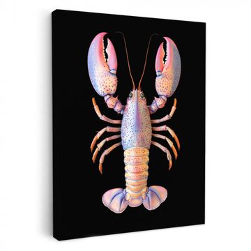 Lienzos decorativos - Langosta - Rosa - Suave - Negro