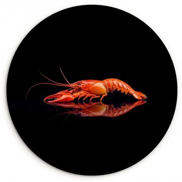 Langosta - Naranja - Negro - Llamativo