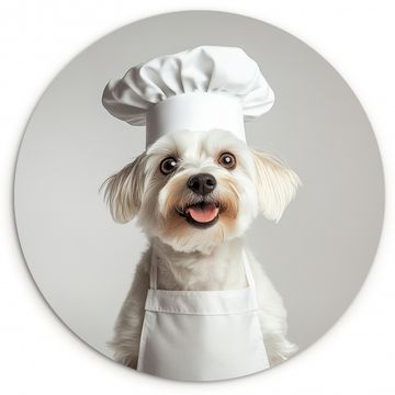 Cuadro redondo - Perro - Blanco - Cocinero