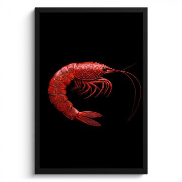 Cuadros enmarcados - Camarón - Rojo - Animales