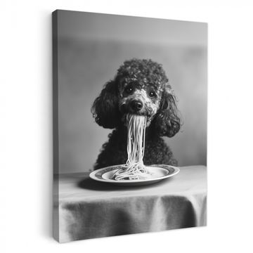 Lienzos decorativos - Caniche - Perro - Negro - Blanco - Lindo - Pasta