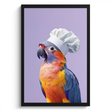 Cuadros enmarcados - Loro - Gorro de cocinero - Morado - Lindo