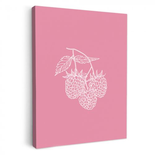 Lienzos decorativos - Frambuesas - Tallo - Dibujado - Rosa