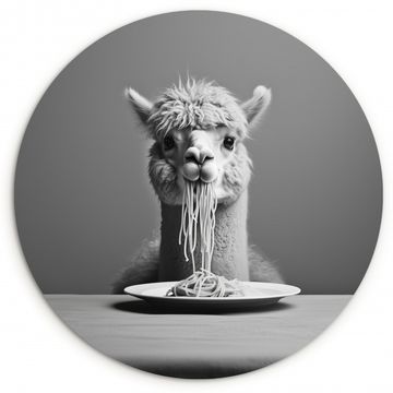 Cuadro redondo - Alpaca - Pasta - Negro - Blanco - Divertido - Animales