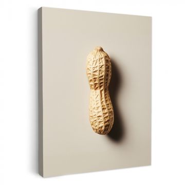 Lienzos decorativos - Cacahuete - Crudo - Beige