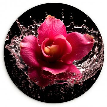 Cuadro redondo - Flores - Rosa - Agua - Negro - Botánico - Naturaleza