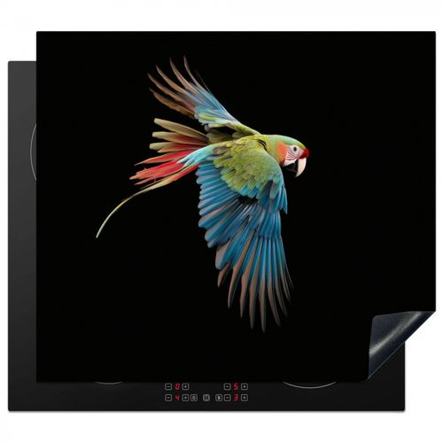 Loro - Colorido - Alas - Ornamentado