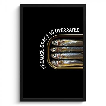 Sardinas - Texto - Pescado - Conservas