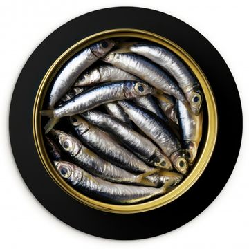 Cuadro redondo - Sardinas - Pescado - Redondo - Negro