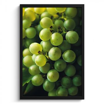 Cuadros enmarcados - Uvas - Racimo - Verde