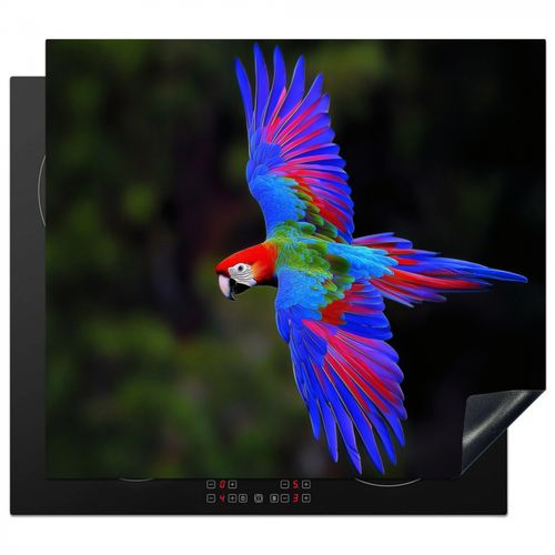 Colores vivos - Loro - Bosque - Alas