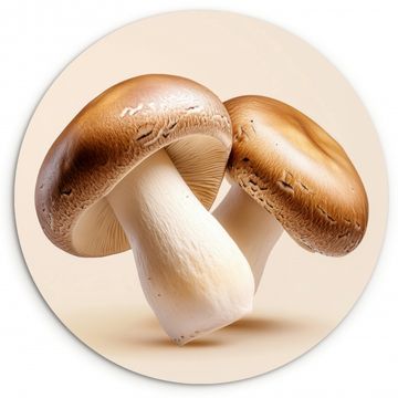 Cuadro redondo - Champiñones - Suave - Beige
