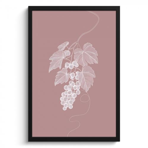 Cuadros enmarcados - Truss - Uvas - Ilustración - Hojas