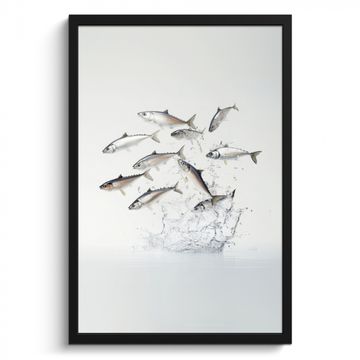 Cuadros enmarcados - Pez - Agua - Blanco
