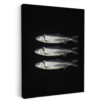 Lienzos decorativos - Arenque - Pescado - Negro