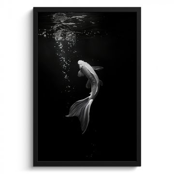 Cuadros enmarcados - Koi - Pez - Blanco - Negro