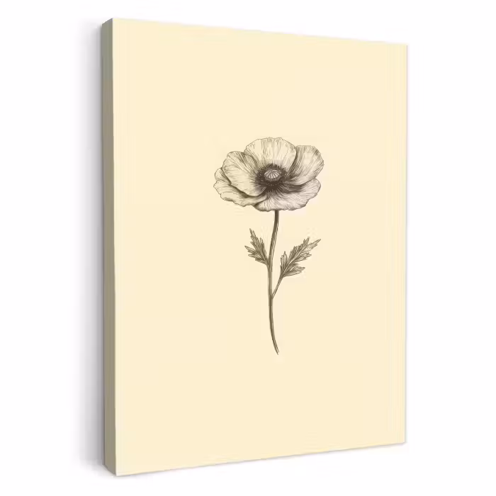 Lienzos decorativos - Amapola - Ilustración - Negro