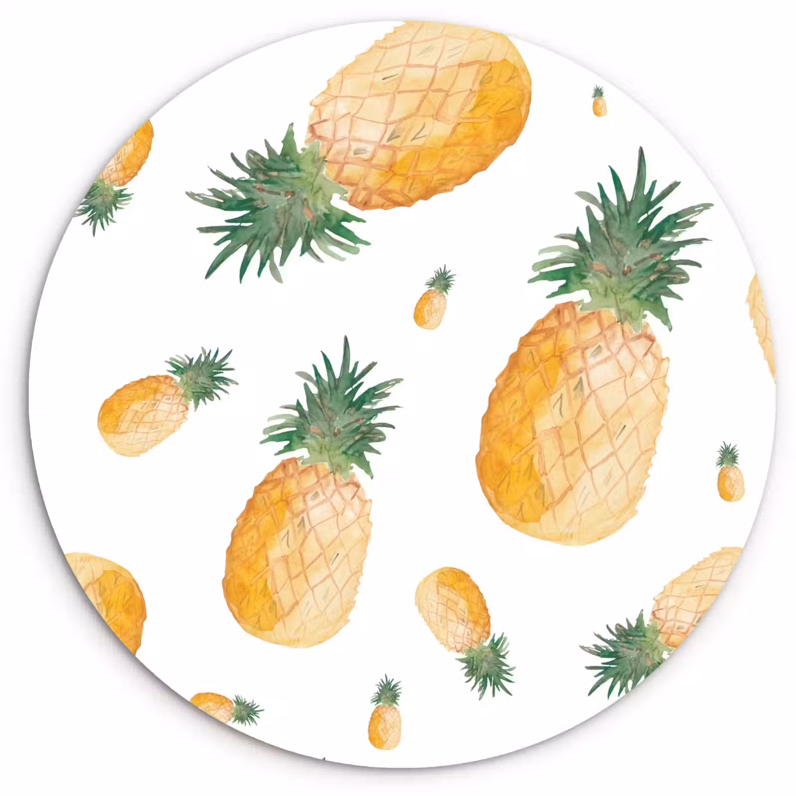 Cuadro redondo - Piña Aquarelle — 1