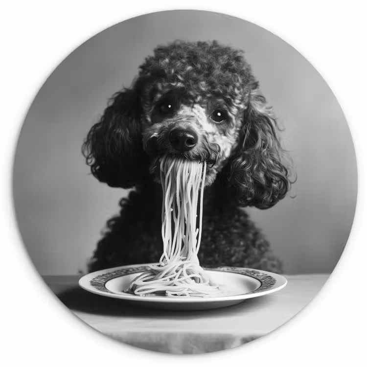 Cuadro redondo - Caniche - Perro - Negro - Blanco - Lindo - Pasta — 2