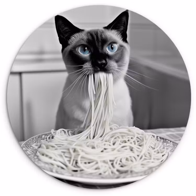 Cuadro redondo - Gato - Siamés - Blanco y negro - Lindo - Animales — 3