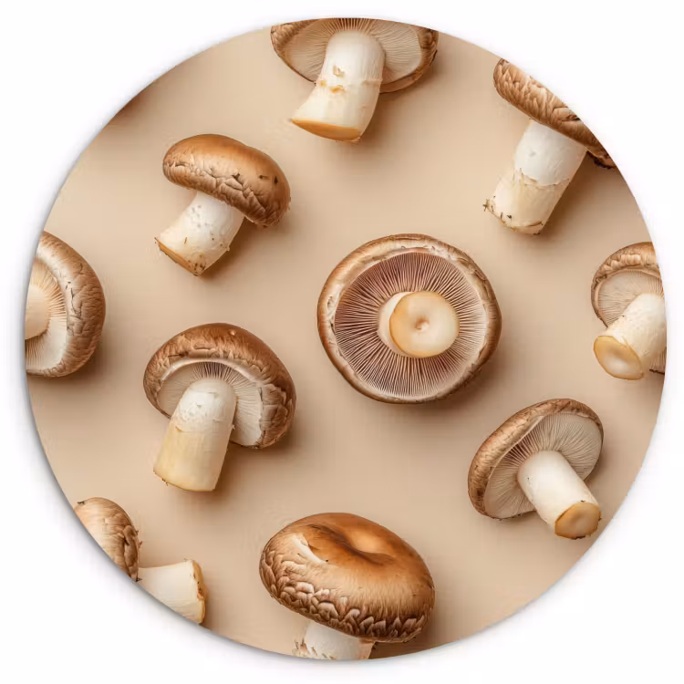 Cuadro redondo - Castaño Setas - Beige — 3